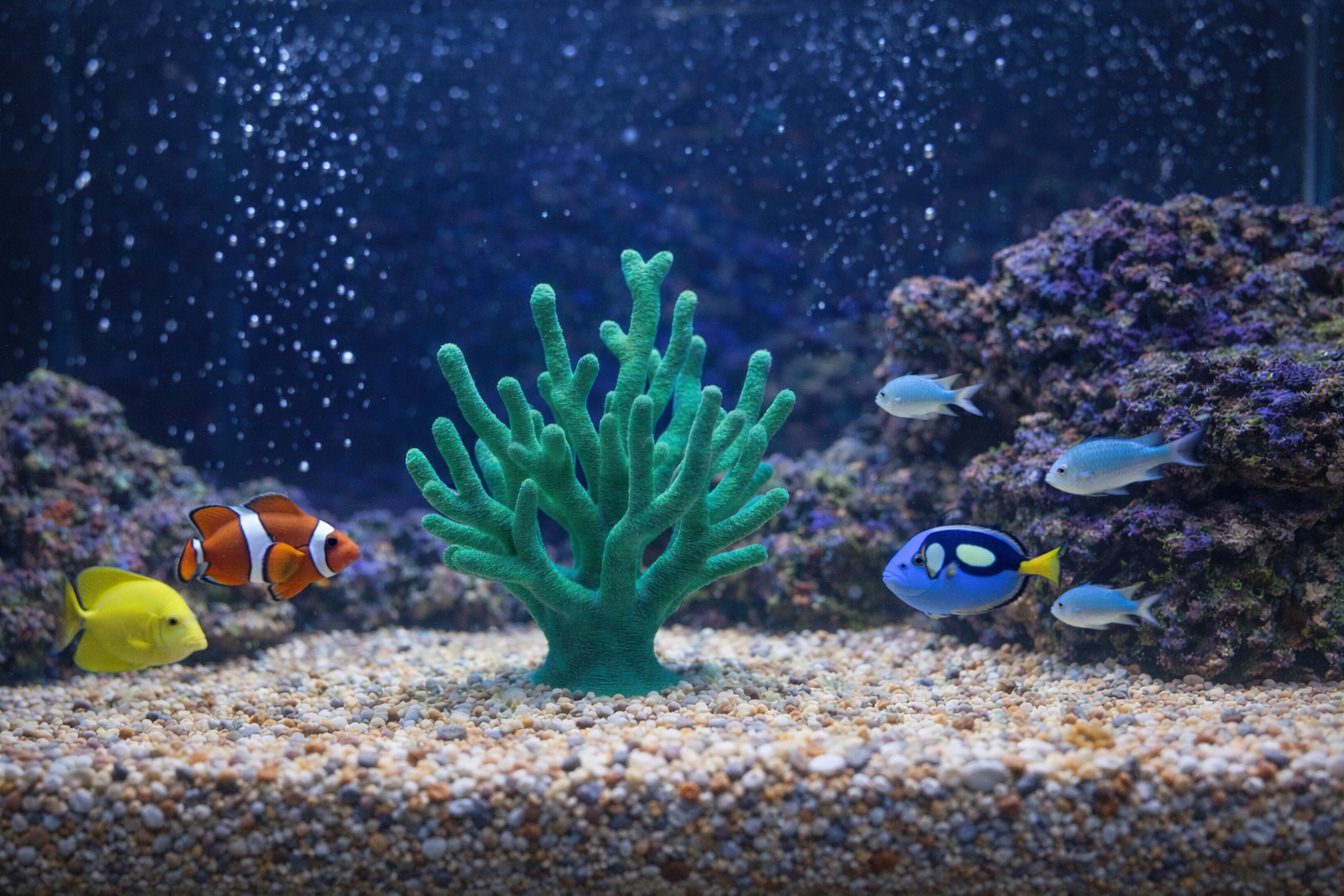 Aquarium Decoration - Custom underwater themed piece